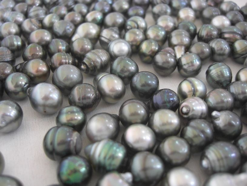 perles noires de Tahiti